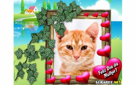 Moldura - 08 De Marco