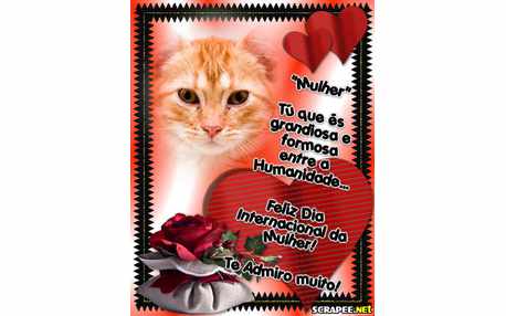 Moldura - Mulher Virtuosa