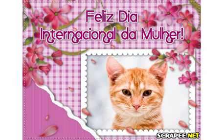 Moldura - Dia Internacional Da Mulher