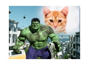Moldura - The Hulk