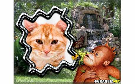 Moldura - Cacaquinho