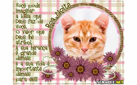 Moldura - Mensagem De Boa Noite