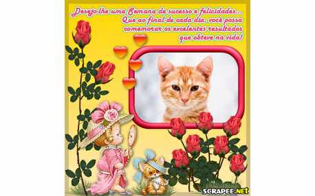 Moldura - Sucesso E Felicidade