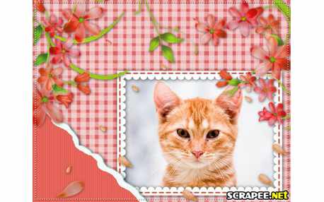 Moldura - Cartao Com Flores