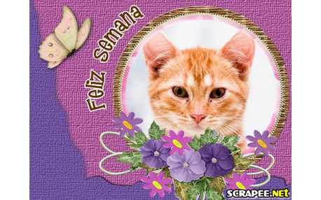 Moldura - Feliz Semana