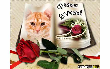 Moldura - Pessoa Especial