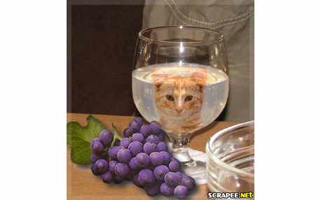 Moldura - Cacho De Uva