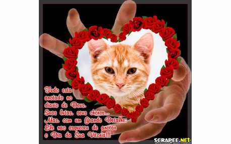 Moldura - Diario De Deus