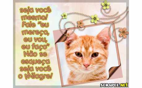 Moldura - Diga Eu Posso