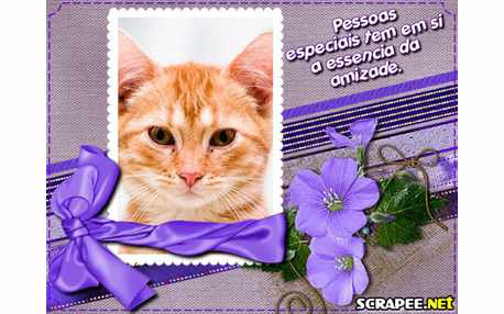 Moldura - Essencia Da Amizade