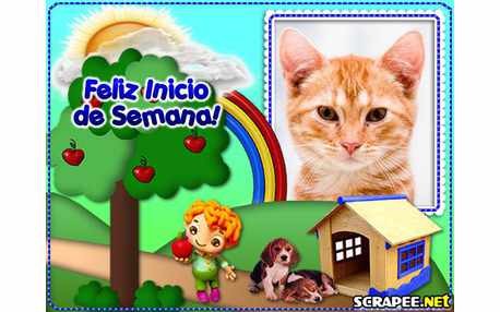 Moldura - Casinha De Cachorro