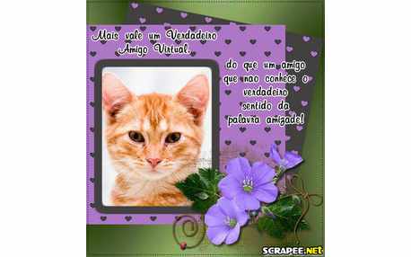 Moldura - Amizade Virtual