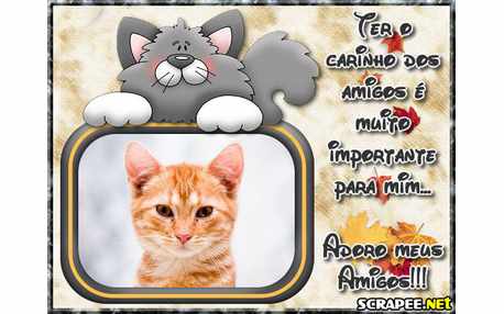 Moldura - Carinho Dos Amigos