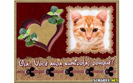 Moldura - Voce Sumiu