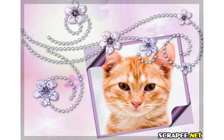 Moldura - Brilho Em Stras