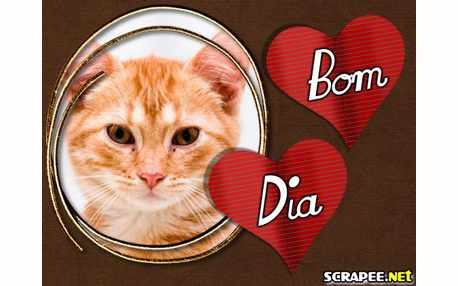 Moldura - Magnifico Dia