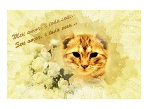 Moldura - Love Phrase