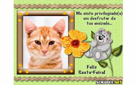 Moldura - Sexta Feira Privilegiada