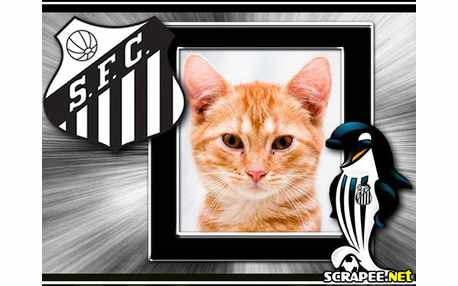 Moldura - Santos Futebol Clube