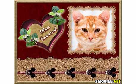 Moldura - Cartao De Formatura