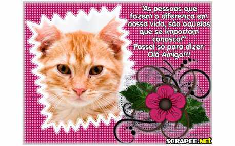 Moldura - Ola Amigos