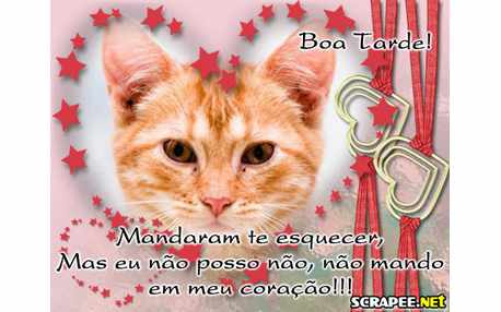 Moldura - Nao Posso Nao