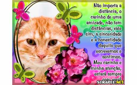 Moldura - Carinho Nao Tem Distancia