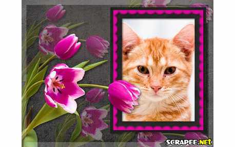 Moldura - Flores Pink