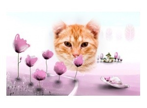 Moldura - Flowers And Hat