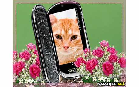 Moldura - Novo Celular 2011