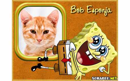 Moldura - Bob Esponja