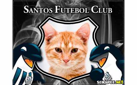 Moldura - Santos Fc