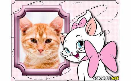 Moldura - Gata Marie