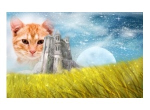 Moldura - The Castle