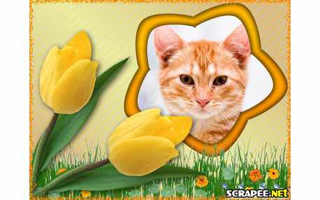 Moldura - Tulipa Amarela