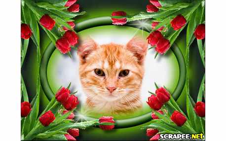 Moldura - Montagem Florida