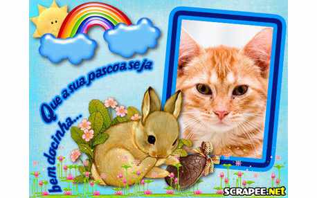 Moldura - Coelhinho Da Pascoa