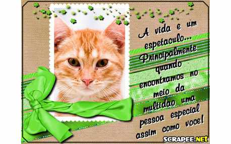 Moldura - Vida Espetacular