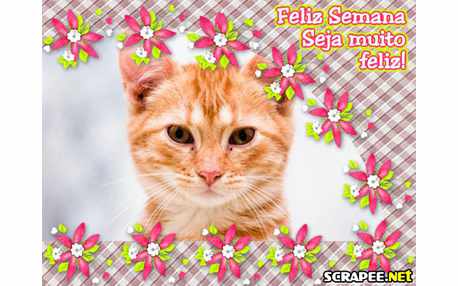Moldura - Feliz Semana