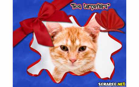 Moldura - Boa Terca Feira