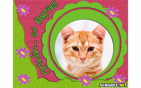 Moldura - Feriado E So Alegria