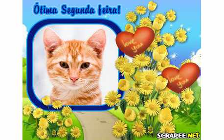 Moldura - Segunda Feira No Jardim