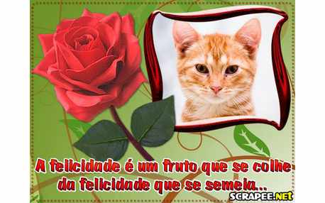 Moldura - Colhemos Oque Plantamos