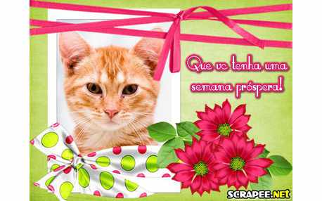 Moldura - Semana Abundante