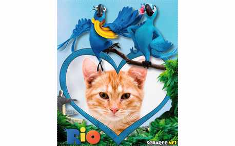 Moldura - Filme Rio 3d
