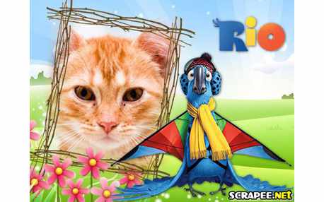 Moldura - Blu A Ararinha Azul