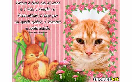 Moldura - Pascoa Solidaria