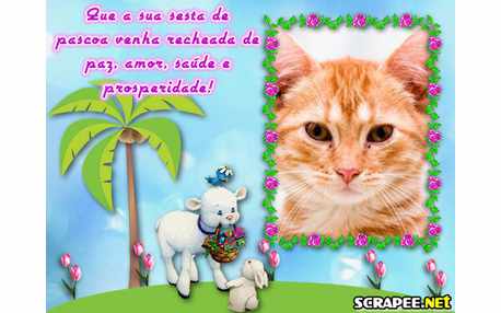 Moldura - Sesta De Cacau Show