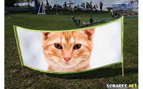 Moldura - Propaganda Gratis