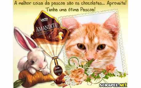 Moldura - Chocolate Lacta